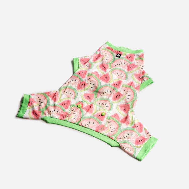 Dog Watermelon Pajama