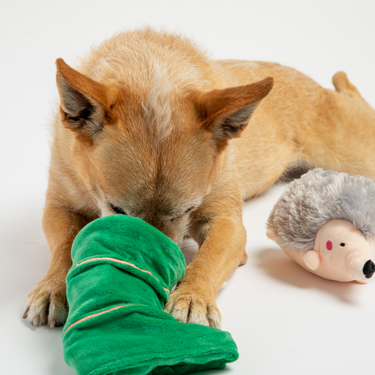 Rechargeable Dog Nail Grinder with LED Light