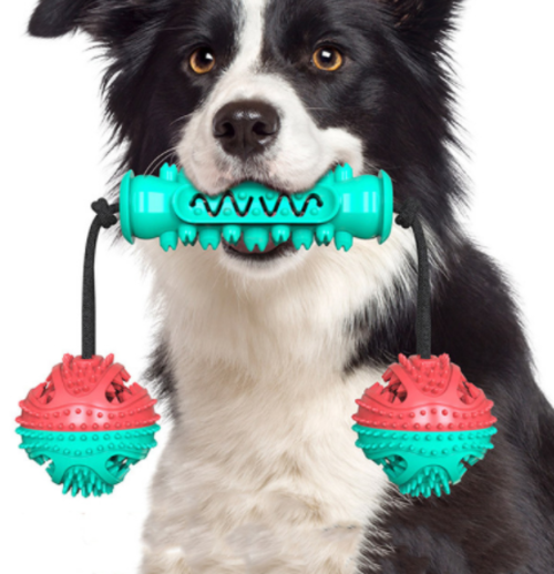 Dog Chew Toy & Toothbrush