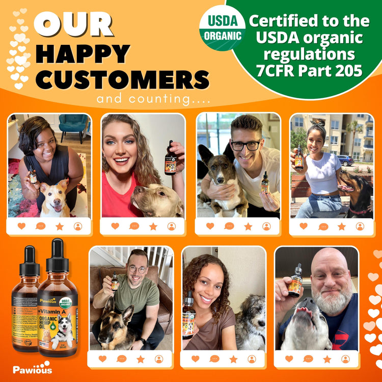 Dogs Hemp Oil Bottle