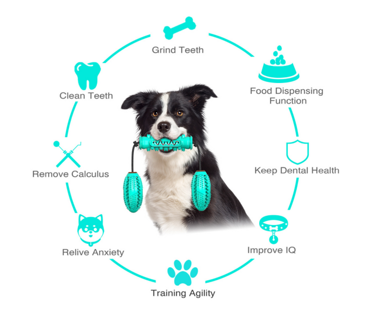 Dog Chew Toy & Toothbrush