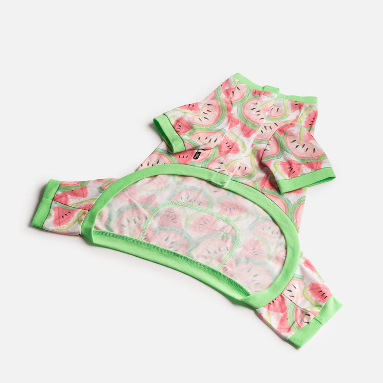 Dog Watermelon Pajama