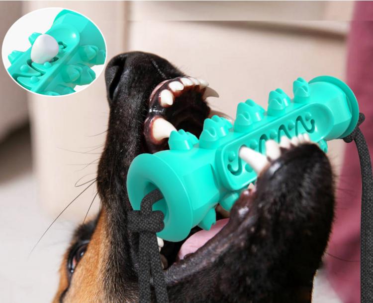 Dog Chew Toy & Toothbrush