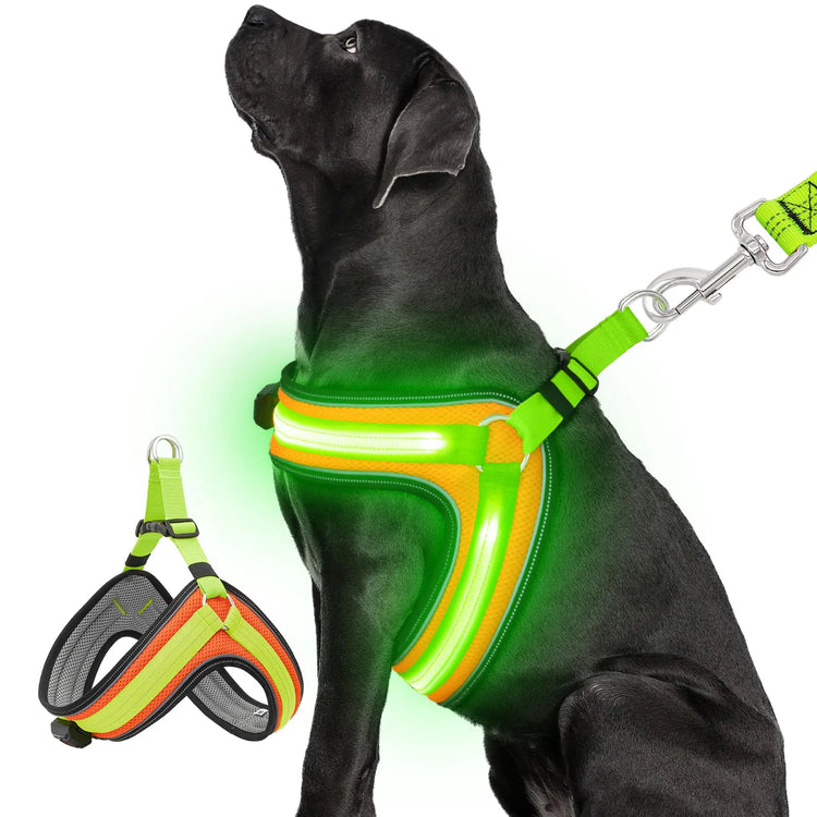 LED Glow Dog Harness