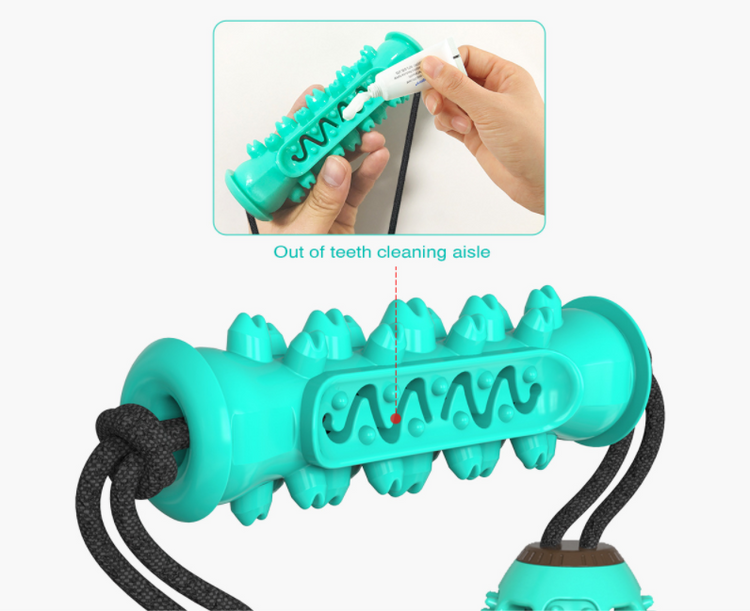 Dog Chew Toy & Toothbrush