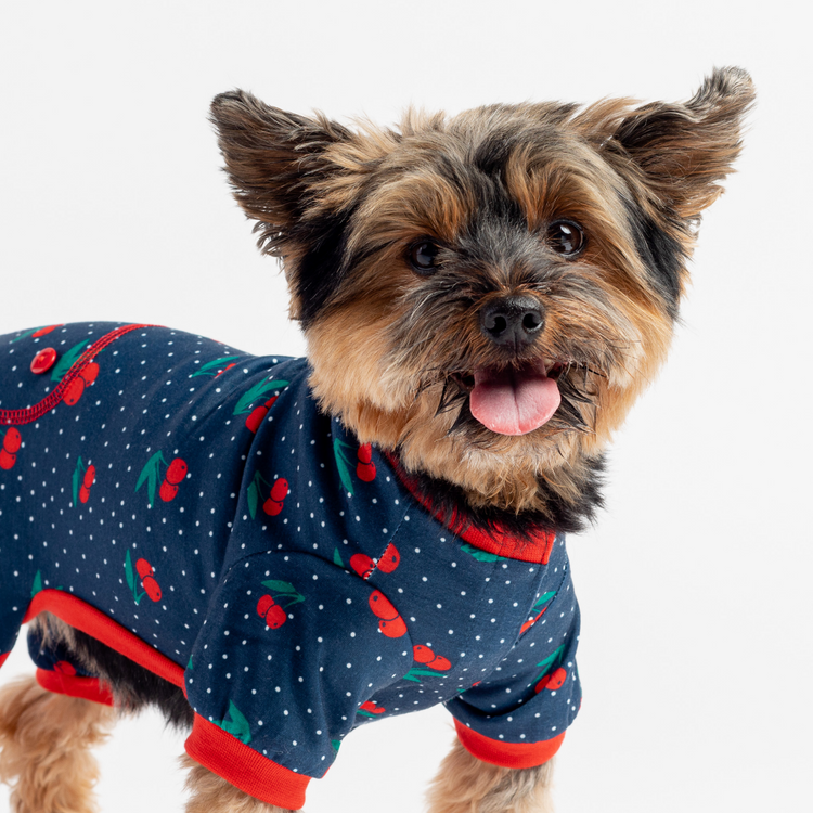 Dog Cherry Pajama