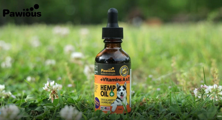 Dogs Hemp Oil Bottle