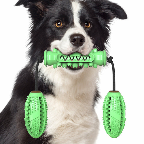 Dog Chew Toy & Toothbrush