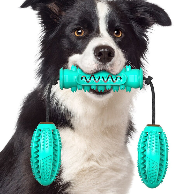 Dog Chew Toy & Toothbrush