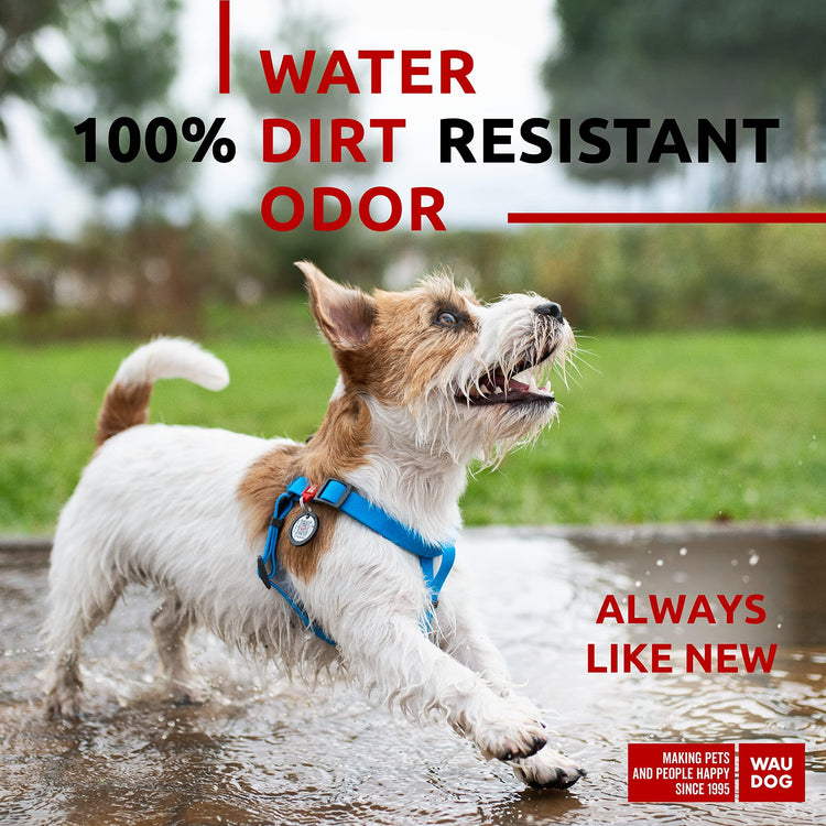 Waterproof Dog Harness
