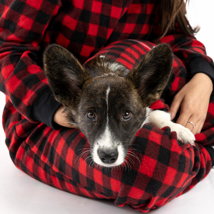 Dog Red Pajama
