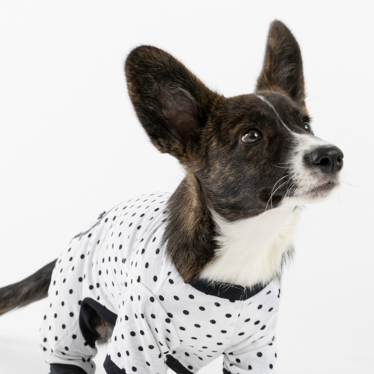 Dog Polka Pajama