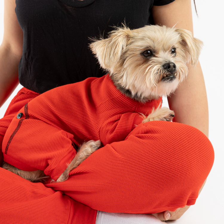 Dog Red Pajama