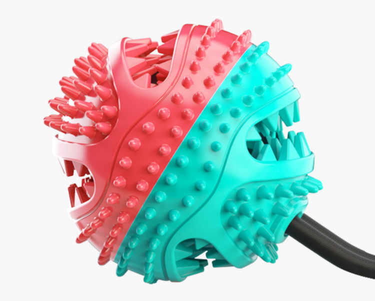 Dog Chew Toy & Toothbrush