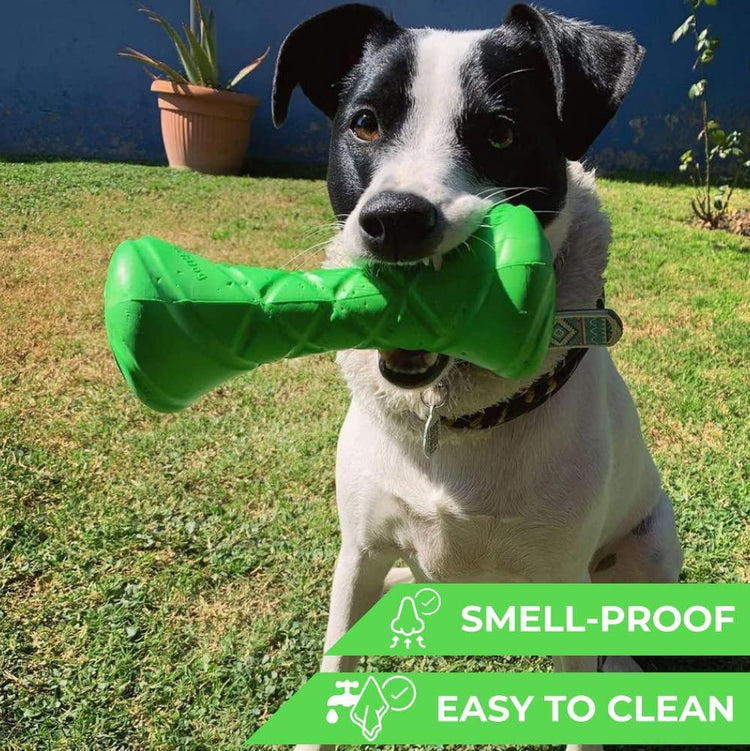 Dog Outdoor Barbell for Small Toy