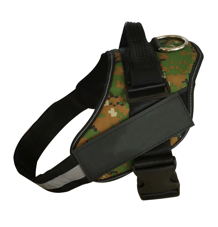 Personalized No Pull Harness