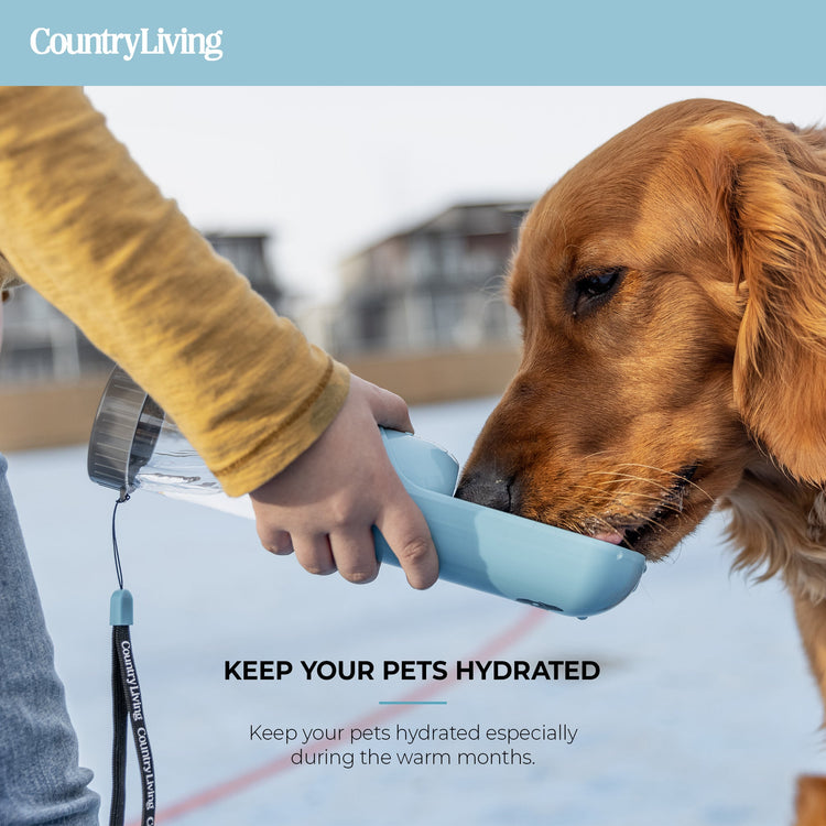 Dog Portable Water Bottle