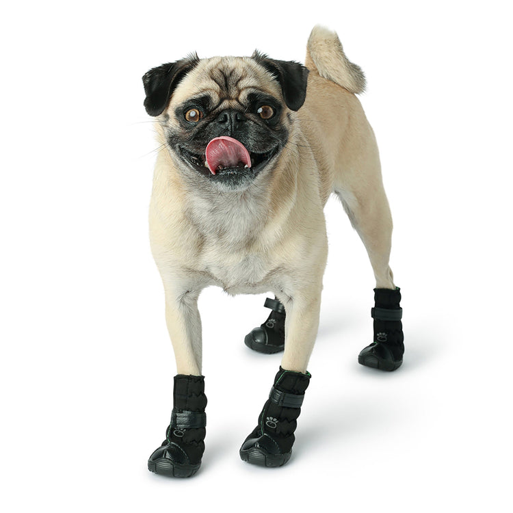 Dog Black Boots