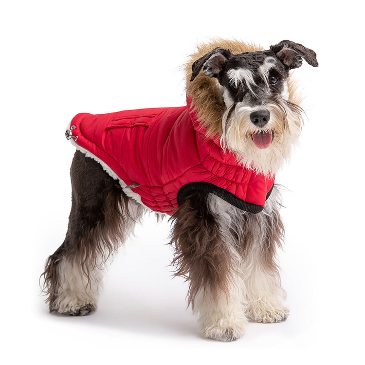 Dog Urban Parka Red with Hoodi