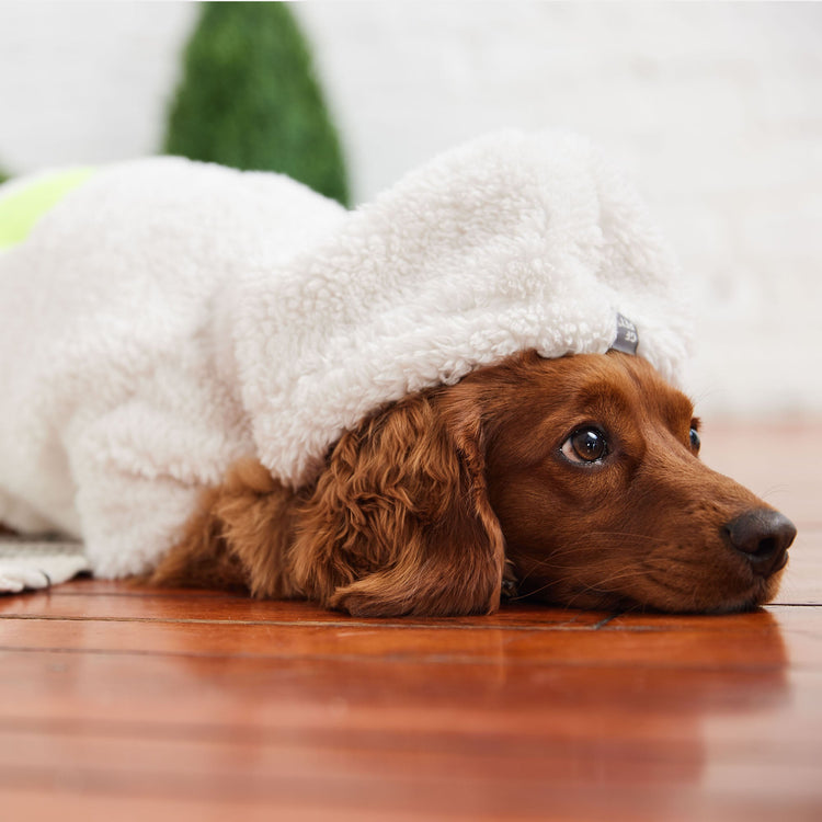 Dog White Cozy Hoodie