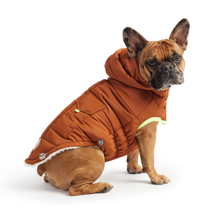 Luxuriously Warm & Stylish Dog Jacket