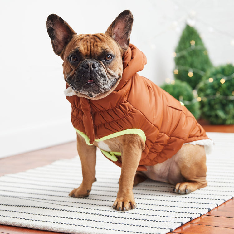 Luxuriously Warm & Stylish Dog Jacket