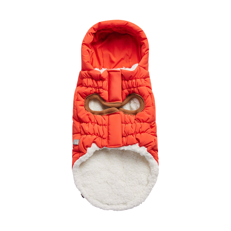 Ultimate Warmth & Style for Your Dog