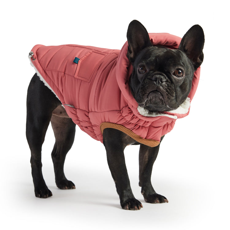 Ultra-Warm & Stylish Dog Jacket