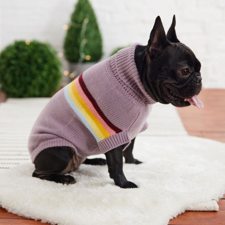 Dog Trendy Turtleneck for Sweater