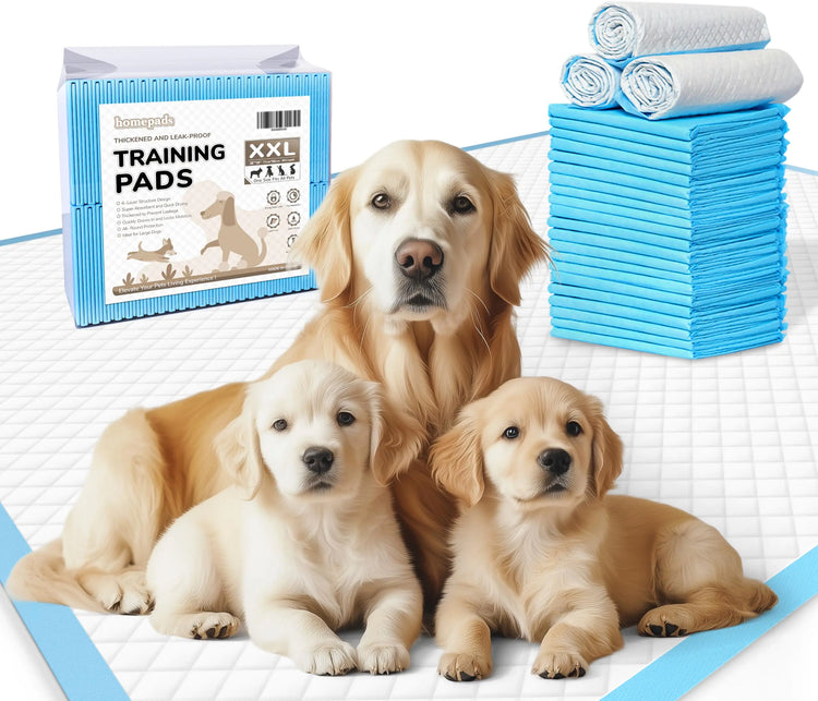 Disposable XL Puppy Pads