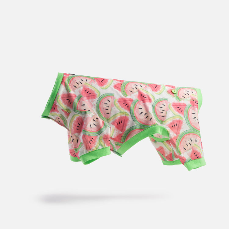 Dog Watermelon Pajama
