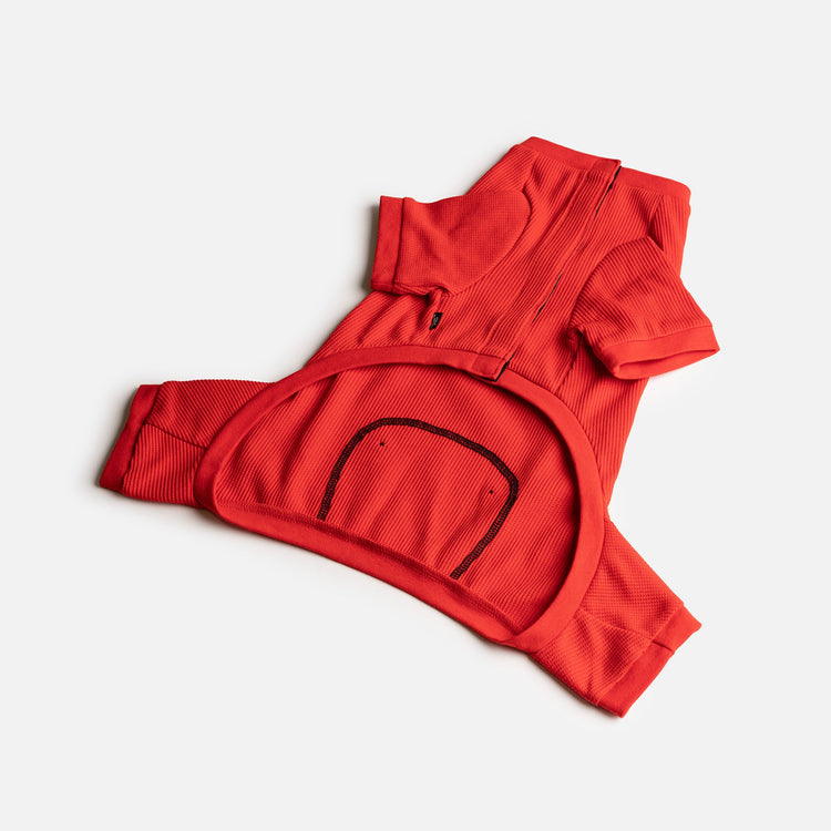 Dog Red Pajama