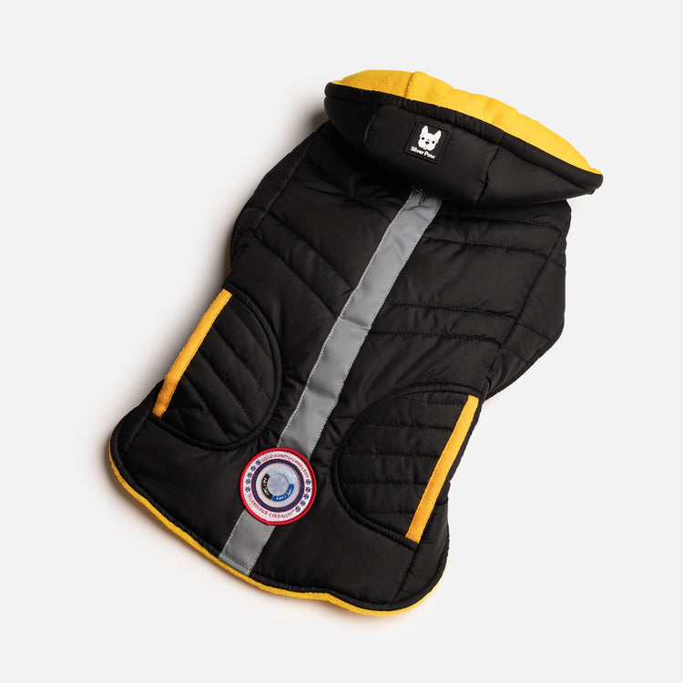 Dog Black Jacket