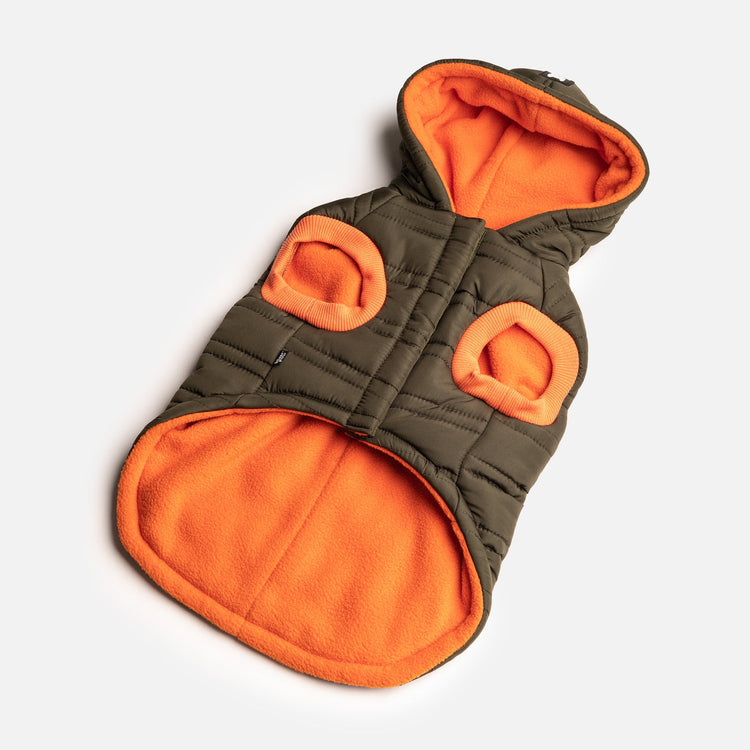 Dog Cypress Jacket