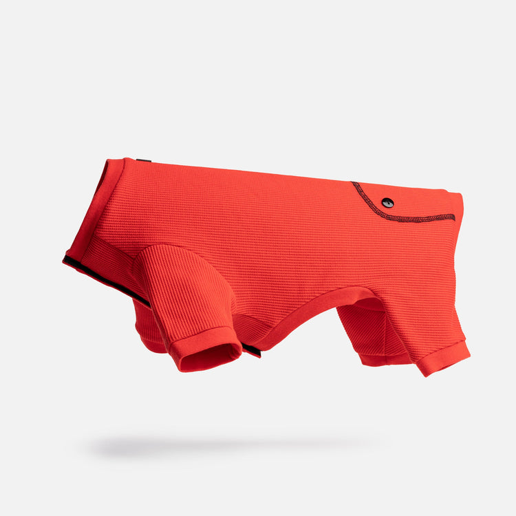Dog Red Pajama