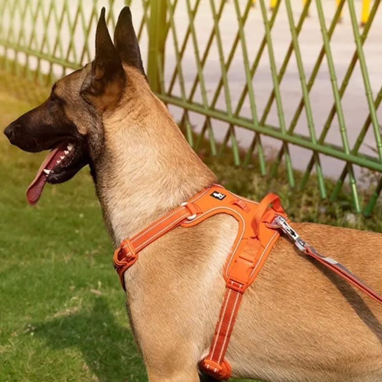 Reflective Dog Harness with Rope