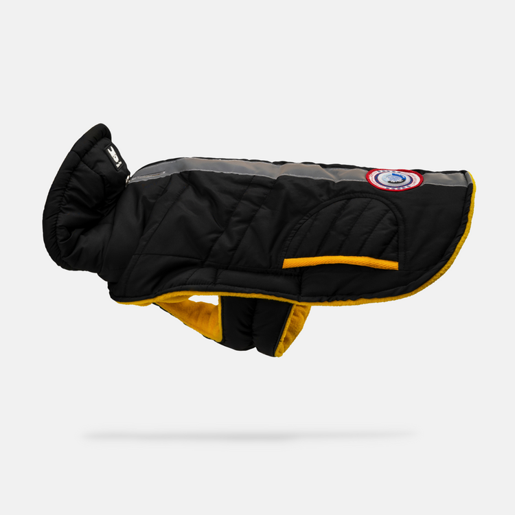 Dog Black Jacket