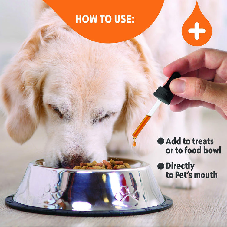 Dogs Hemp Oil Bottle