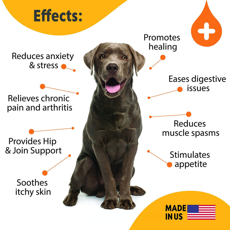 Dogs Hemp Oil Bottle