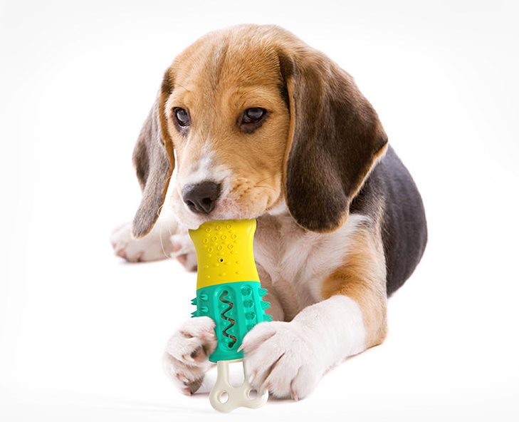 Cooling & Teeth-Cleaning Pet Chew Toy