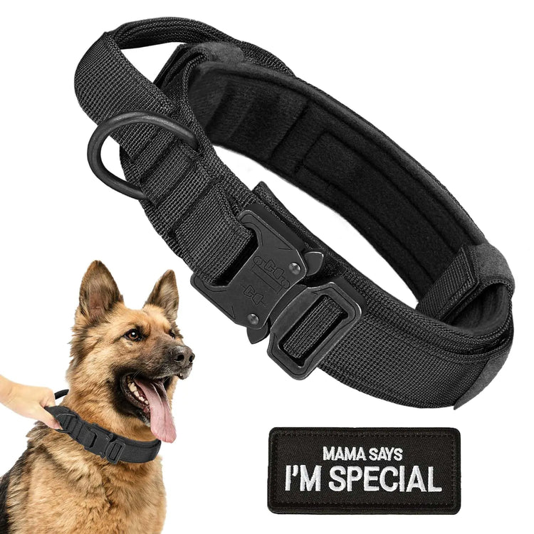 Tactical Military Dog Collar