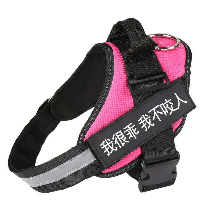 Personalized No Pull Harness
