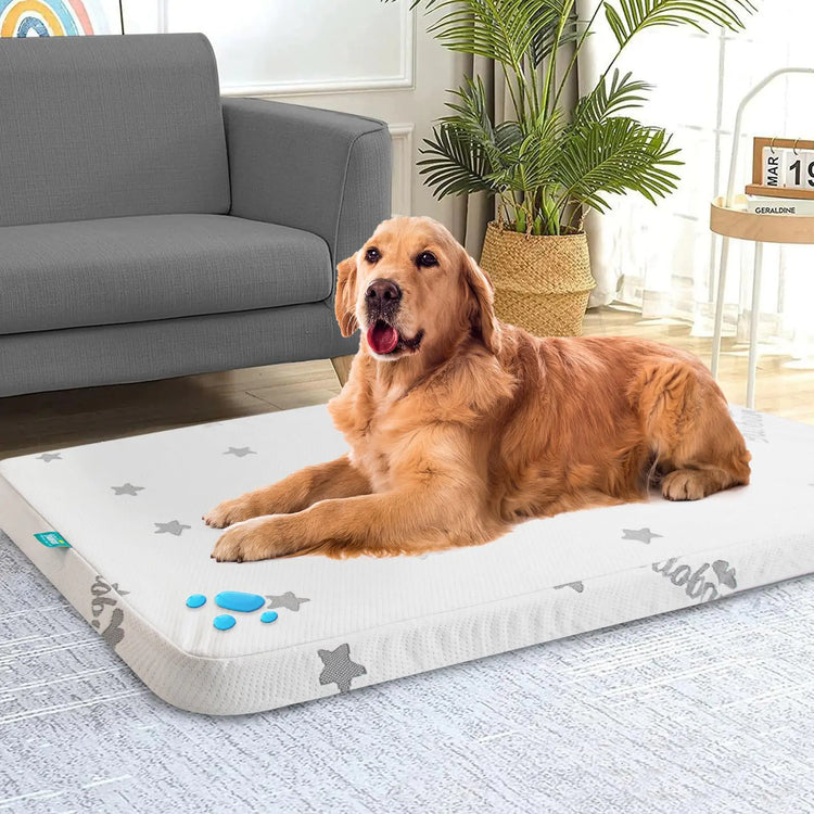 Biloban Waterproof Dog Bed