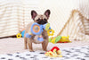 Essential Dog Toys for Mental Stimulation