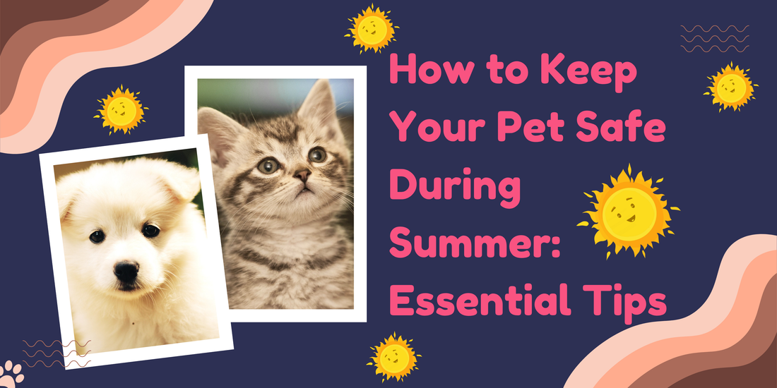 How to Keep Your Pet Safe During Summer