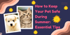 How to Keep Your Pet Safe During Summer