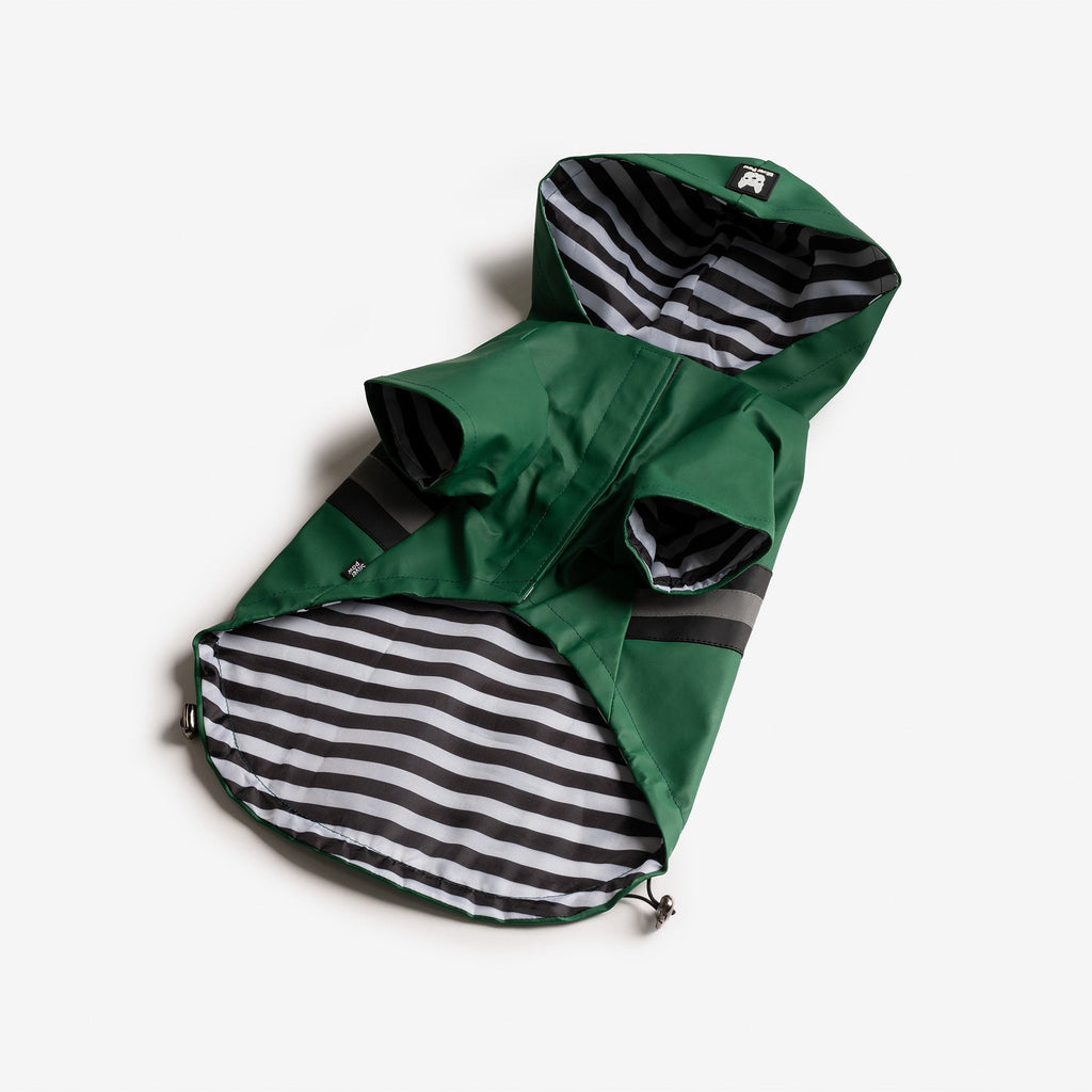 Dog Green Raincoat