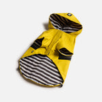 Dog Yellow Raincoat