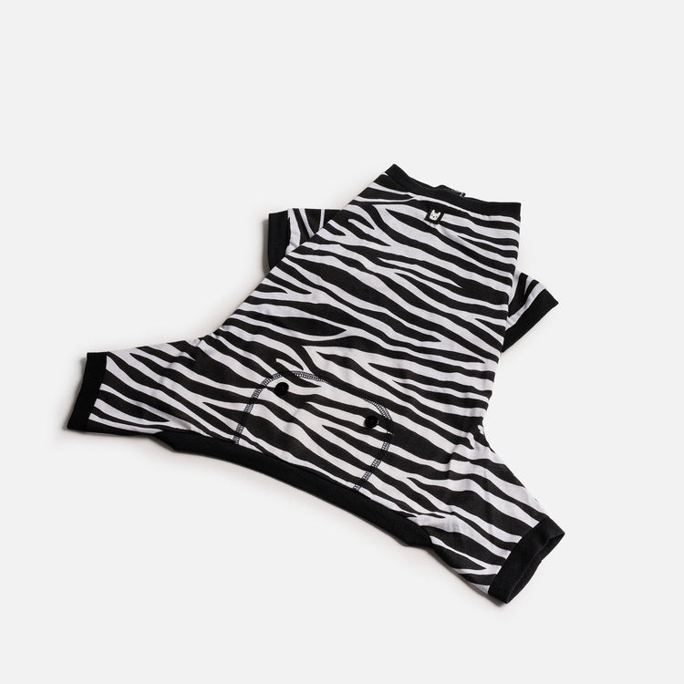 Dog Zebra Pajama