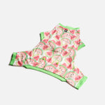 Dog Watermelon Pajama